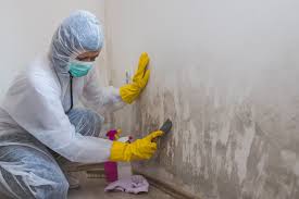 Best Industrial Mold Remediation in Eleanor, WV